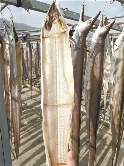 新风鳗鲞味胜鸡!|鳗鱼_新浪财经_新浪网