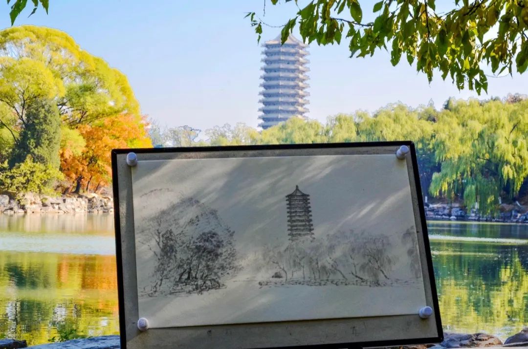 探秘北大"一塔湖图"|未名湖是个海洋_新浪新闻