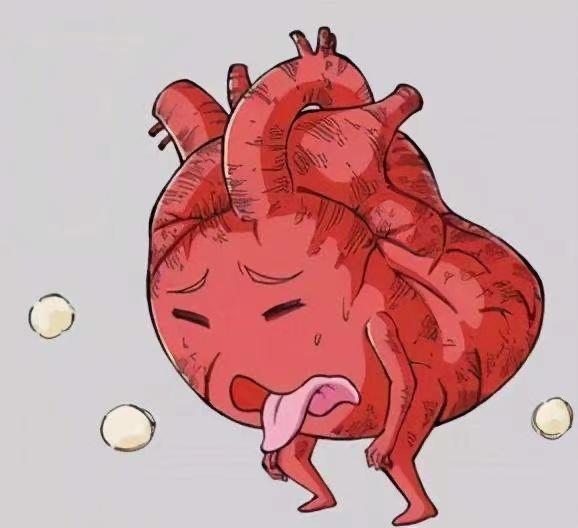 定期体检(病史,查体,心电图动态心电图,血检,超声心动图,胸片,心脏ct