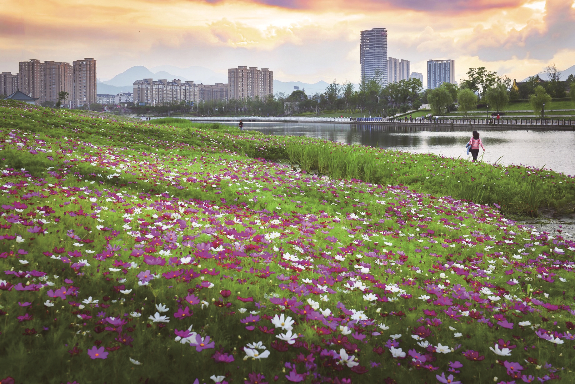 浙江省宁波市奉化区地处长三角南翼,东海之滨,生态环境优良,文化底蕴