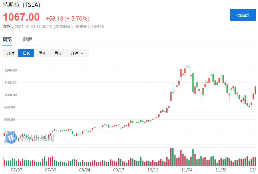 风险提示及免责条款