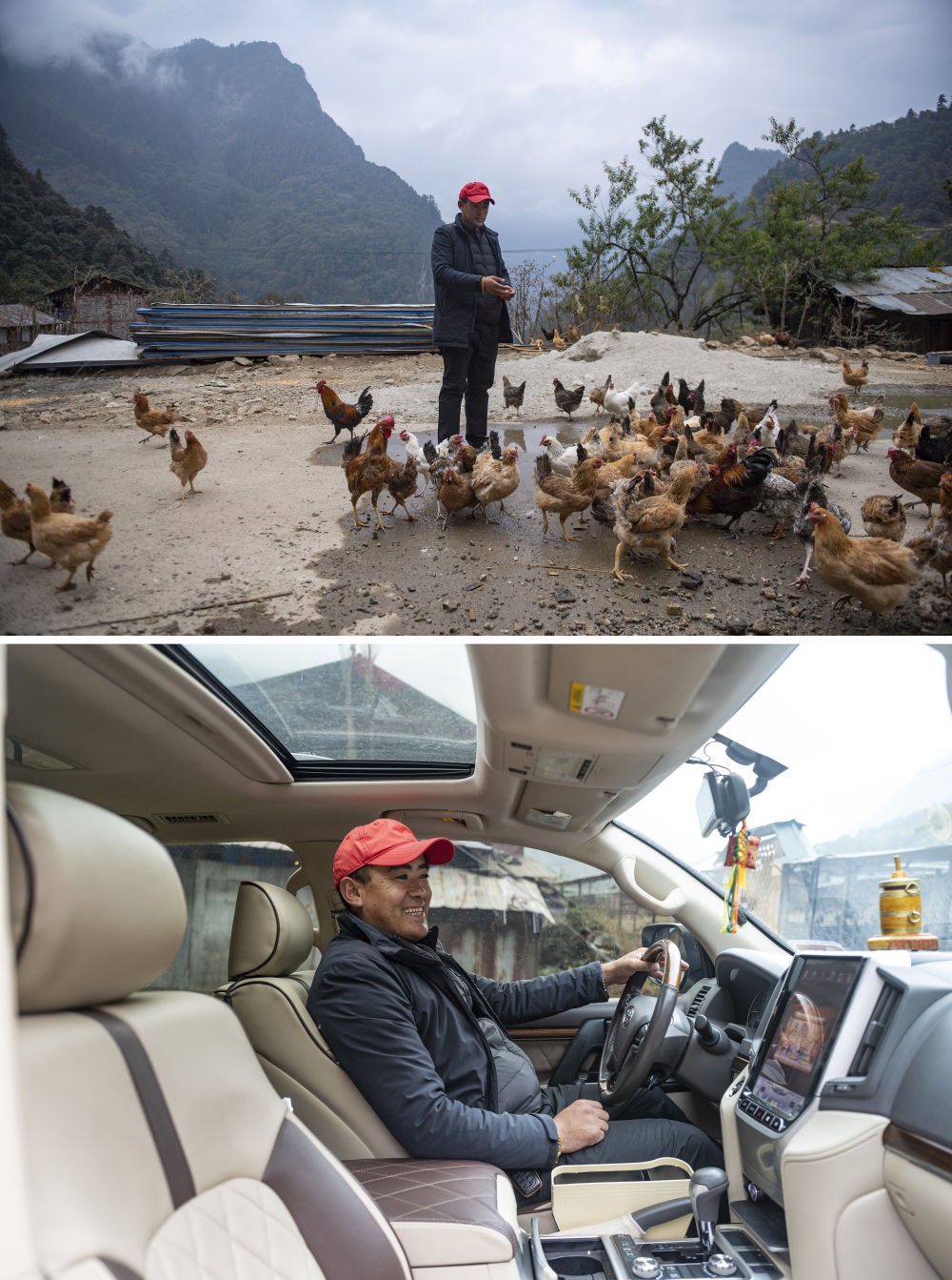 拼版照片：上图为，陈塘镇的致富带头人拉巴塔杰给养鸡场的散养鸡喂食；下图为，拉巴塔杰坐在自己致富后购买的越野车内（均为11月25日摄）。 新华社记者 孙瑞博 摄