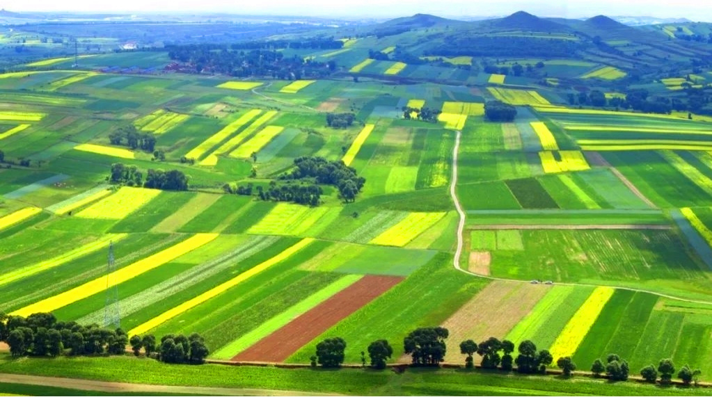右玉县水土保持生态建设一瞥.(水利部供图)