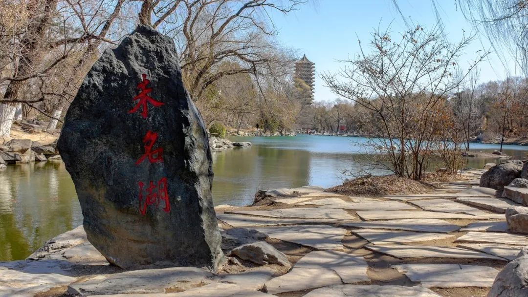 探秘北大"一塔湖图"|未名湖是个海洋_新浪新闻