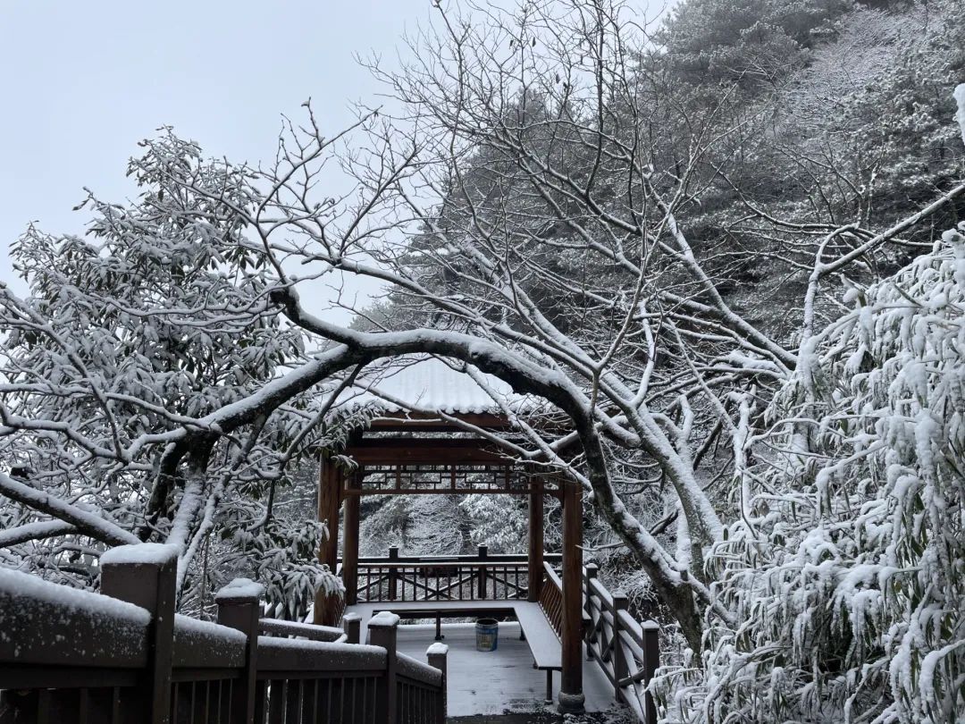 湖南平江天岳幕阜不止有夏日的清凉，还有寒冬的惊喜。图/胡天红