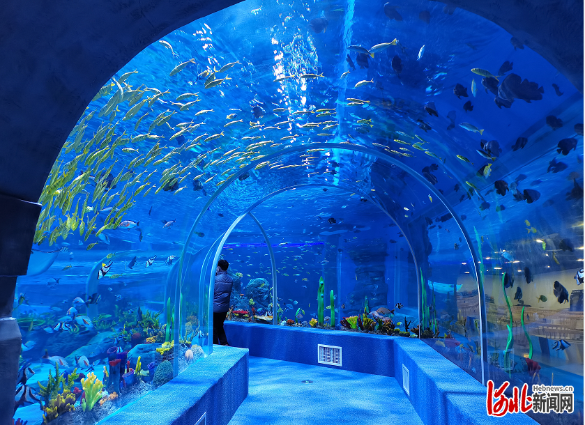 四大亮点抢先看河北石家庄市动物园极地海洋世界2022年1月1日开业