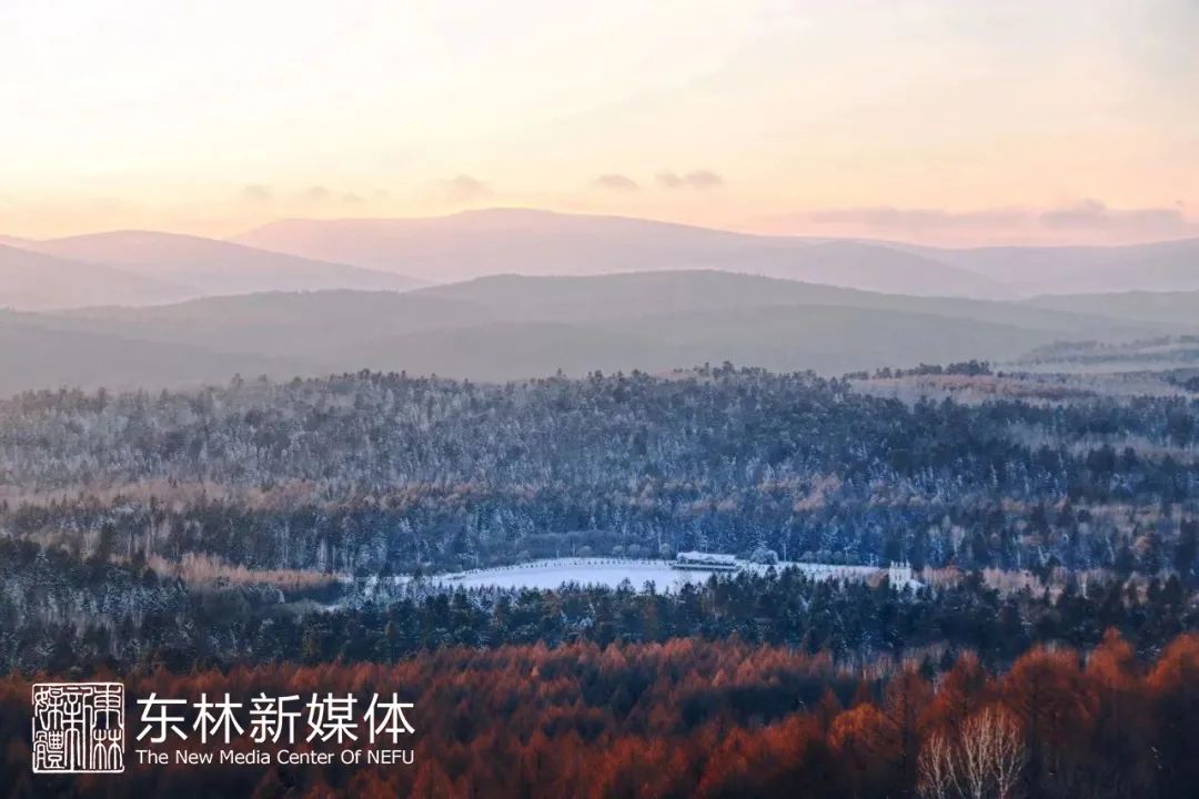 在官网po出你的作品！喜迎东林建校七十周年校庆摄影征集活动冬季篇开启