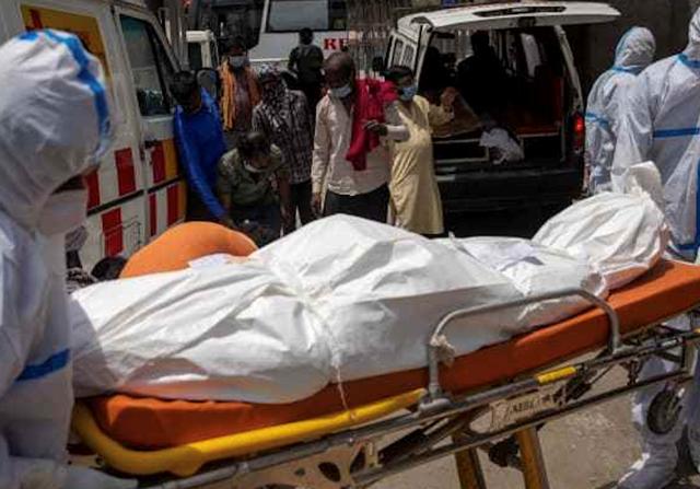 找到挡箭牌！美媒传印度死亡病例超600万，是官方数据的12倍休闲区蓝鸢梦想 - Www.slyday.coM