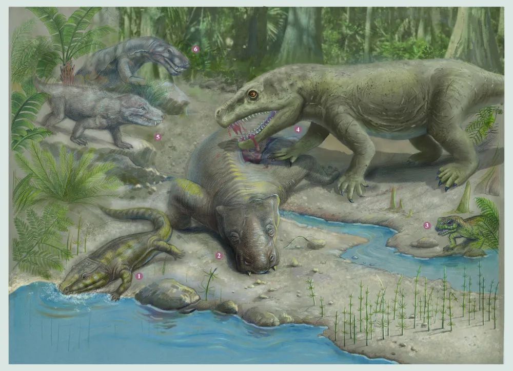 二叠纪的丽齿兽咬杀吞食大型植食兽足类,两者都在二叠纪末大灭绝中