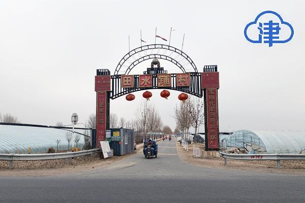 大良镇田水铺村在武清,都市型现代农业快速发展.