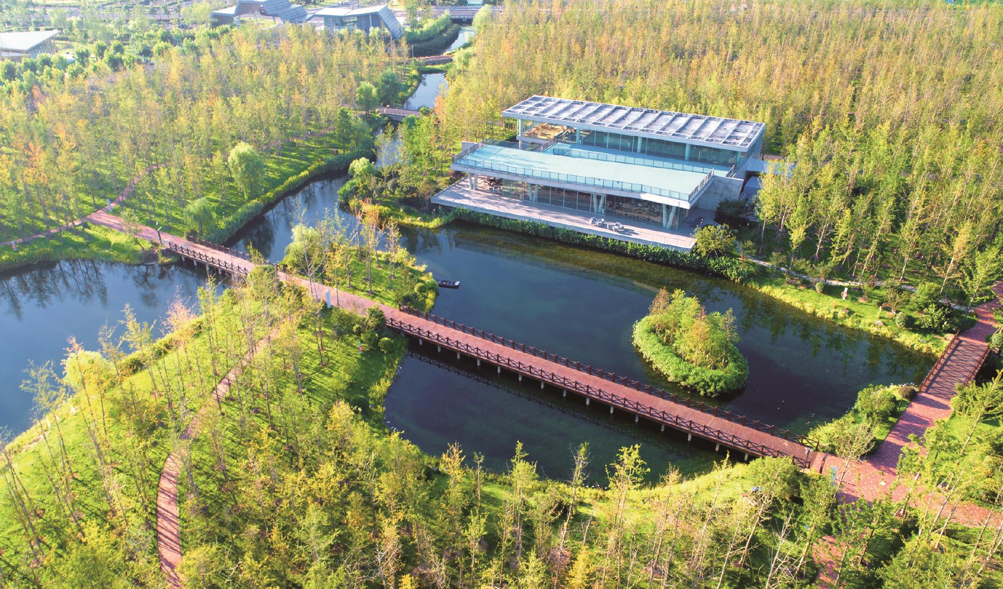 撰文 沈沉缘 姜智力 本版图片由油车港镇提供徜徉在秀洲区油车港镇