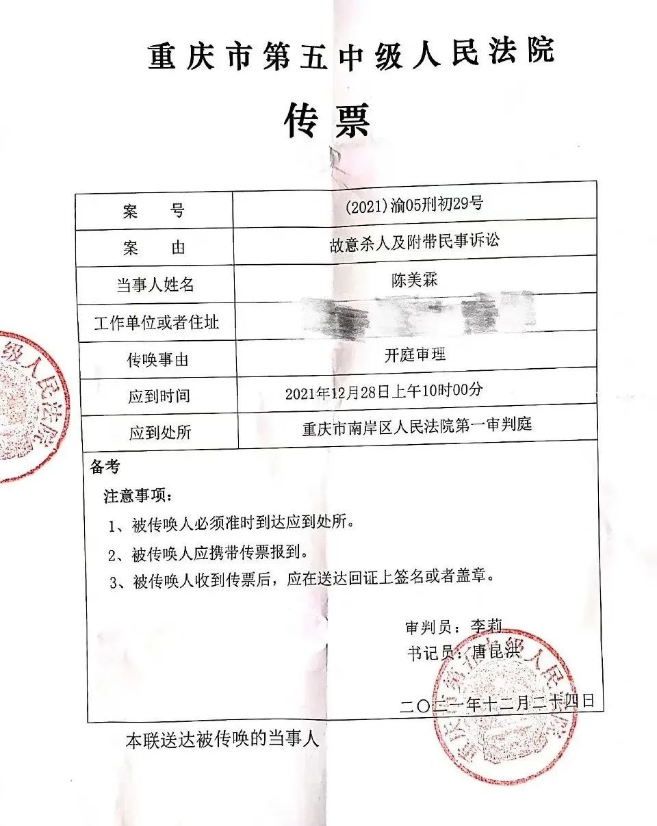 坠亡幼童母亲收到的法院传票.图/受访者提供