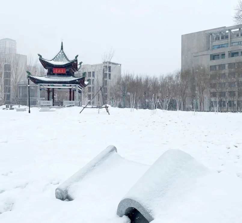 东北农业大学雪景图片