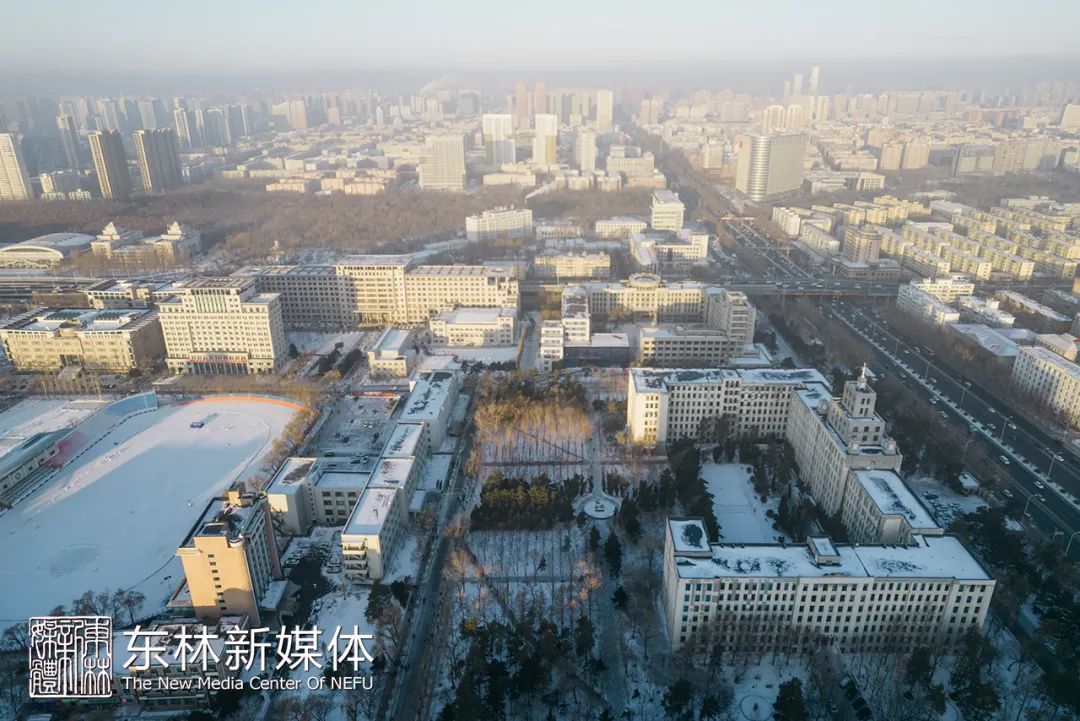 俯瞰东林航拍下你的生活