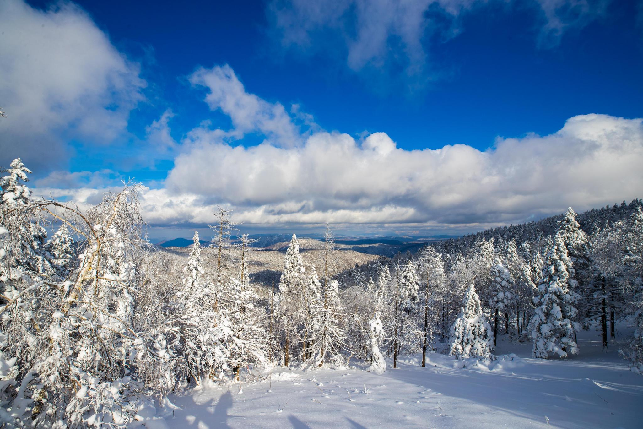 黑龙江凤凰山国家森林公园明日恢复开园