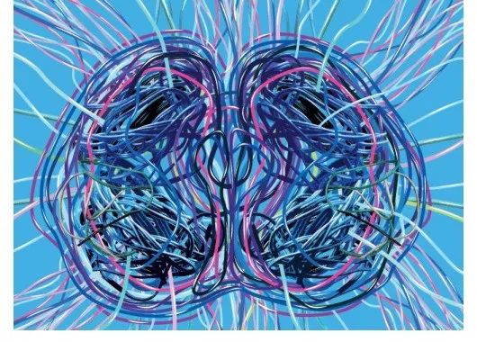 图1 大脑依赖复杂的神经回路行使功能(图片来自网络)