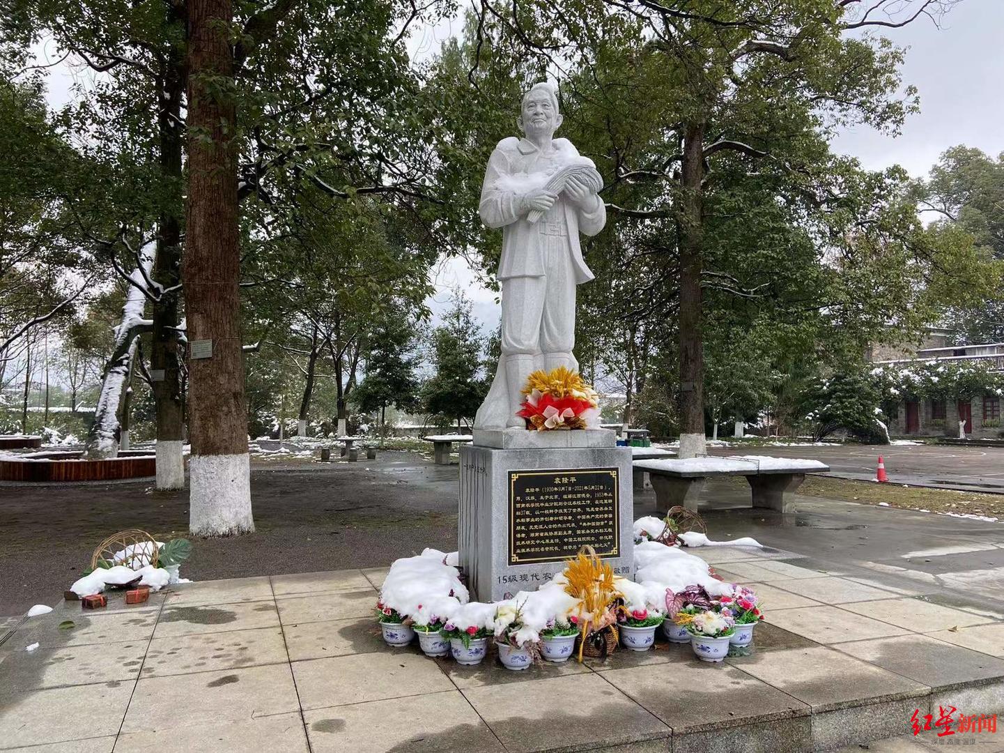 安江农校旧址里的袁隆平塑像