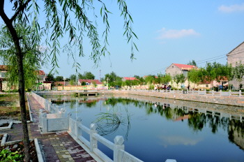 鱼台县唐马镇加快推进幸福活力小镇建设