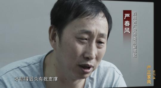 详解严书记是怎么被严夫人坑的