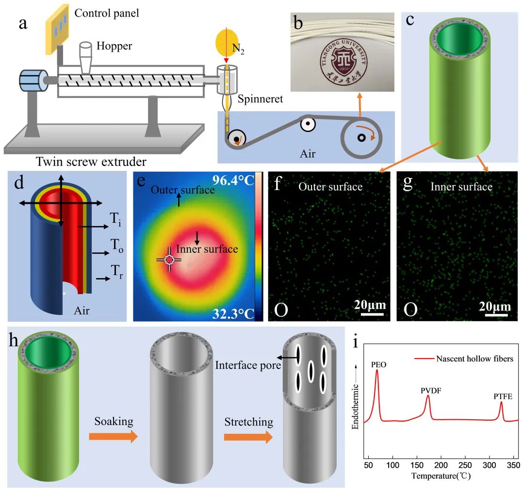 图&nbsp;绿色制备pvdf中空纤维膜流程示意图及成孔机理