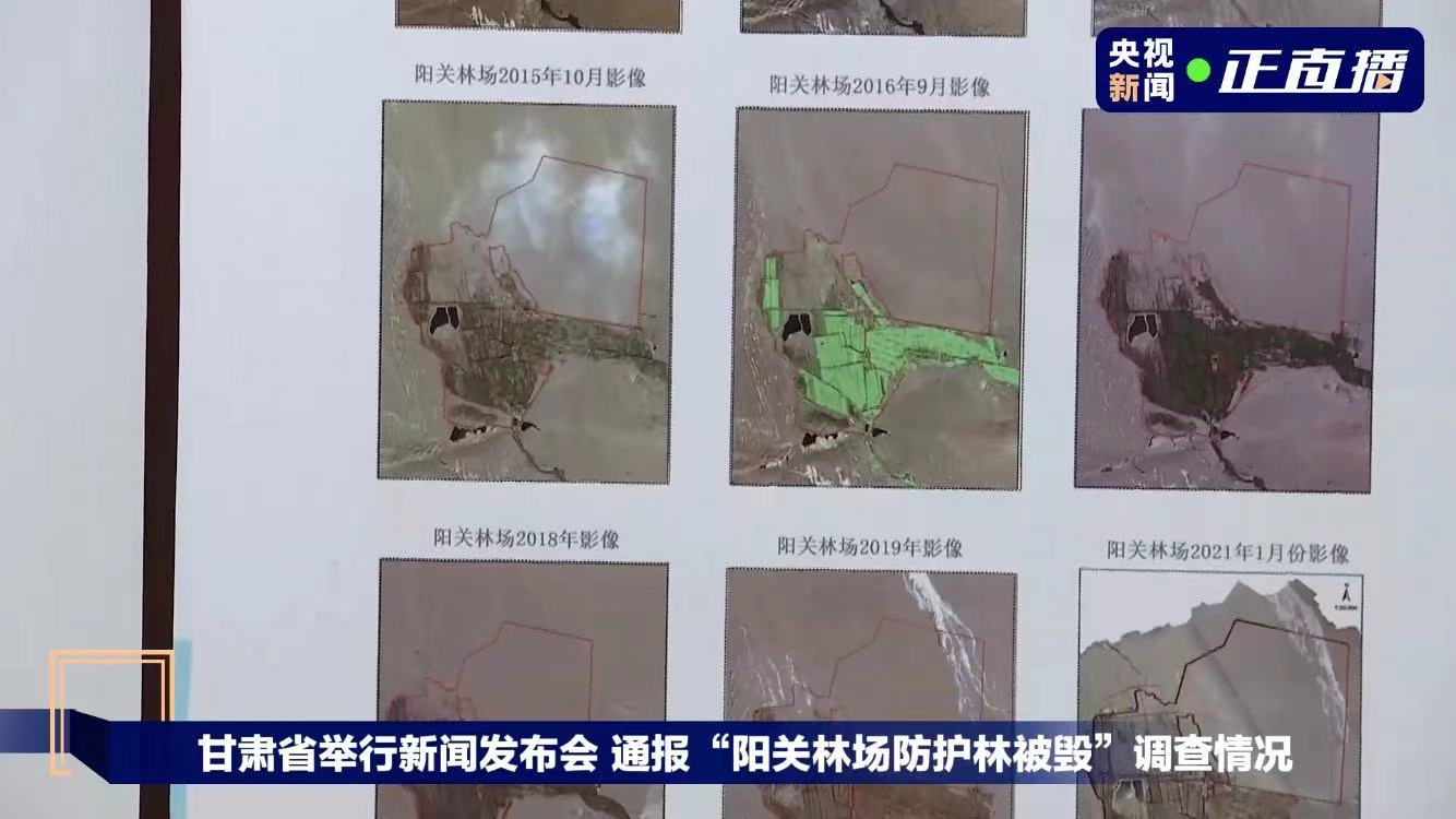 甘肃发布“阳关林场防护林被毁”初步调查结论：未出现明显林退沙进现象