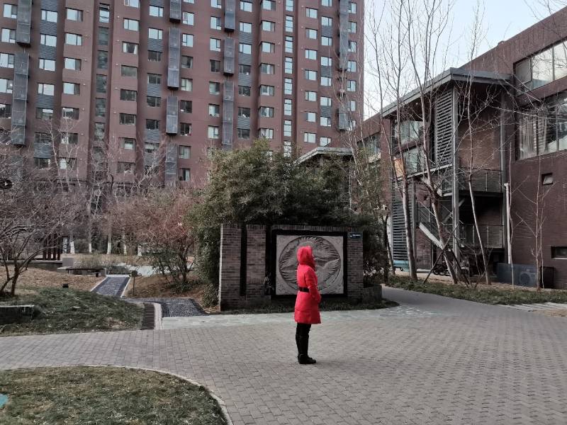 李静在社区驻足。受访者供图