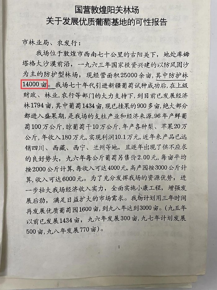 图为1997年阳关林场报给敦煌林业局的文件