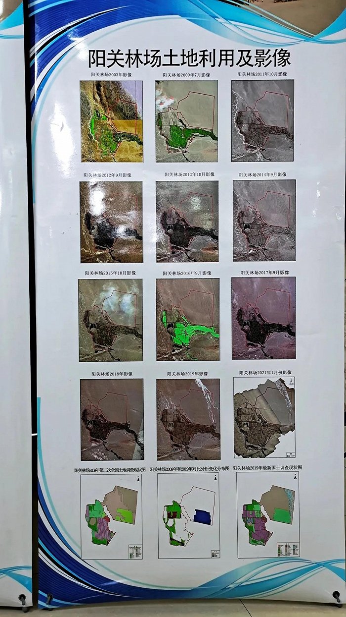 中央环保督察专员赴敦煌 将独立调查“万亩防护林遭砍伐”真相