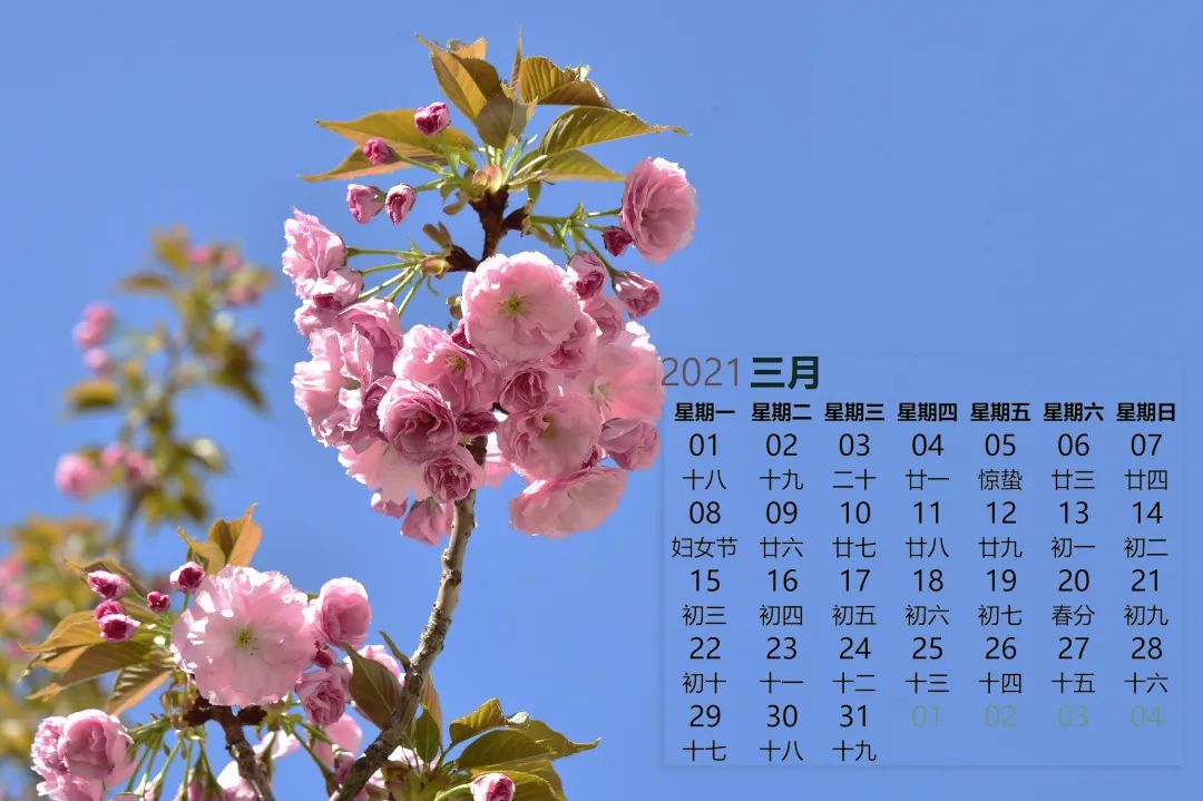 2021月历第一弹来喽快来收藏