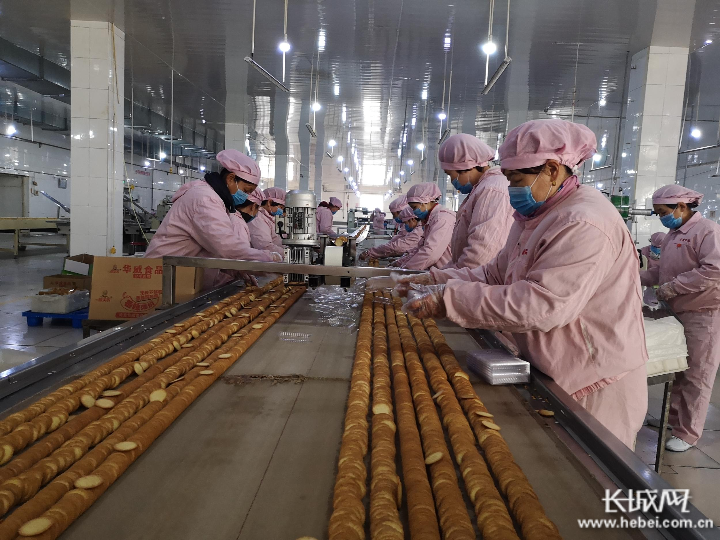 在河北华威食品有限公司,员工把生产的饼干进行装箱. 王刘迪 供图
