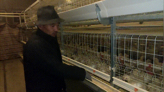 徐吉祥正在鸡舍喂鸡。长城网记者 董达 摄