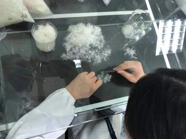 图片来源：中国新闻网