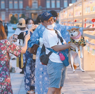 国际观察：宠物饲养必须共同遵守严格法律规范