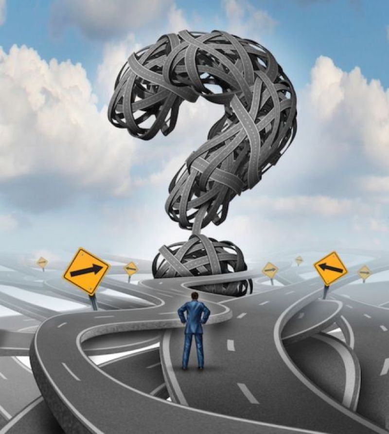 “敦煌万亩林场被砍伐”追踪：举报方、当地政府各执一词