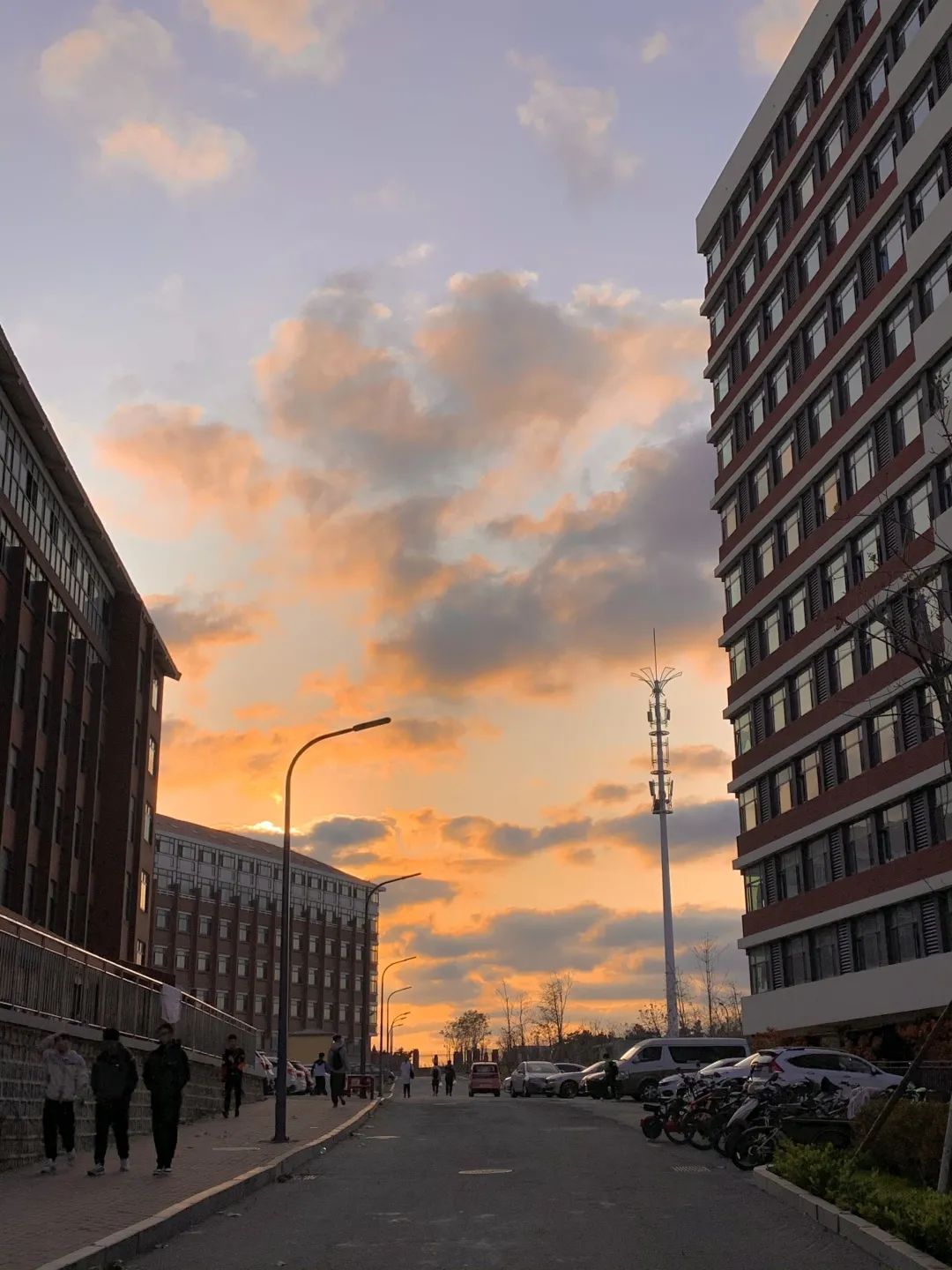 光影校园用镜头捕捉qut为人称道的美丽