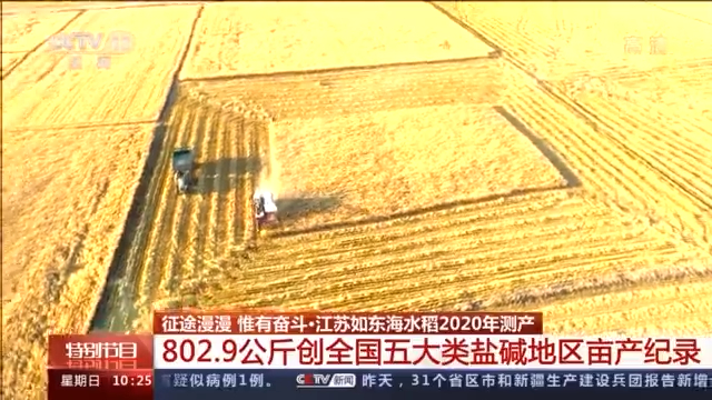 嫦娥五号“乘客”水稻种子已经发！芽！了！