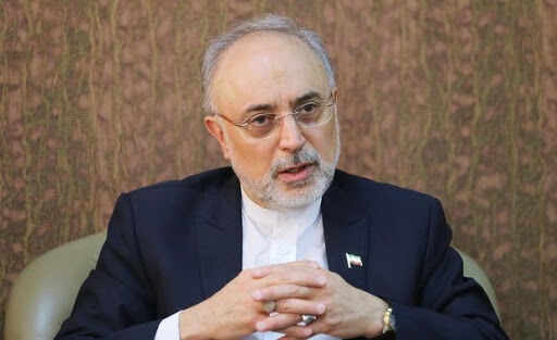 【资料图：伊朗原子能机构主席阿里·阿克巴尔·萨利希】