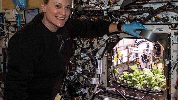国际空间站的宇航员首次被允许吃掉一批自己种植的太空萝卜