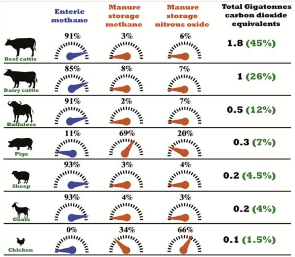 △部分牲畜肠道及粪便甲烷储存量储存量及每千兆吨温室气体包含量（图片来自：联合国粮农组织）