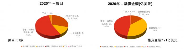 （图：2020年美国资本市场上市中概股，数据来源：普华永道）