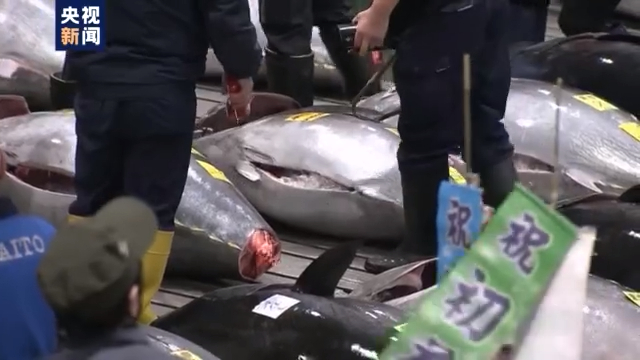 暴跌90%以上！日本新年金枪鱼竞拍价遭疫情冲击
