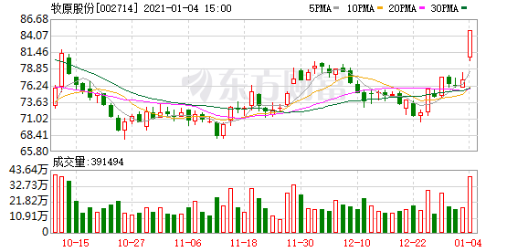 “猪茅”迎涨停 猪价13连涨 高增长股来了
