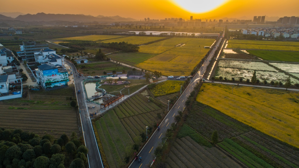 瑞昌市赛湖现代农业产业园道路(张诚晓摄)