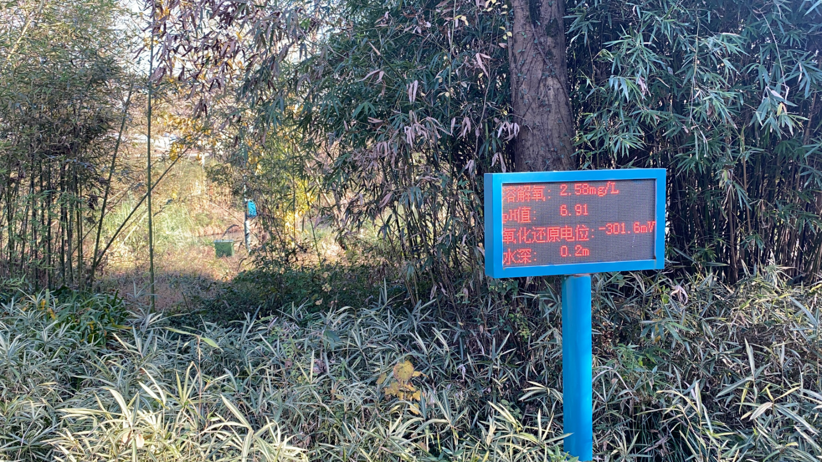 △杭州西溪湿地的水环境实时监测系统