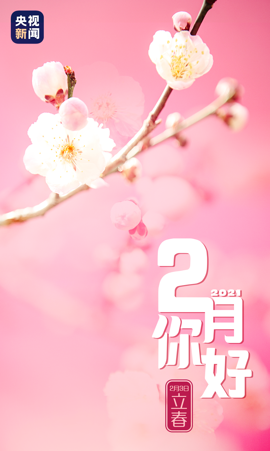 2月你好