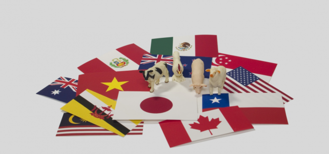 经济观察报|商业火箭公司星际荣耀酒泉发射失利 原因待查