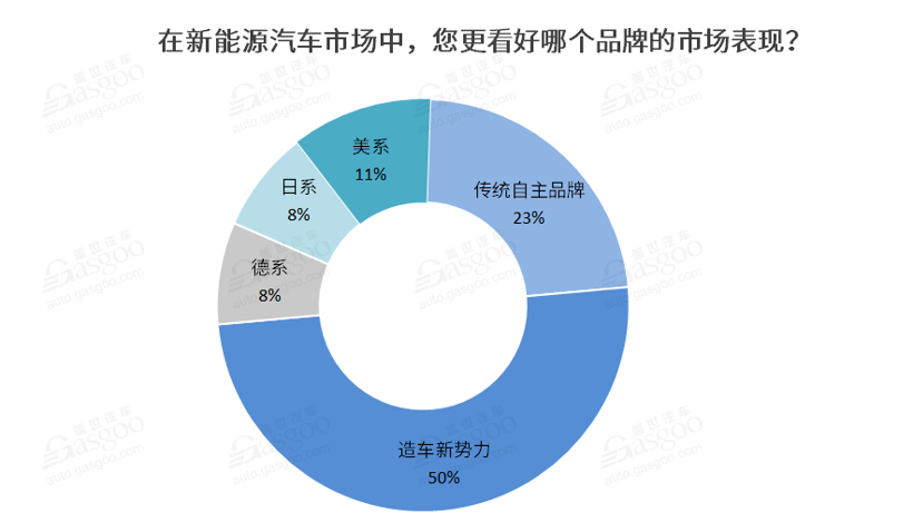 调查报告