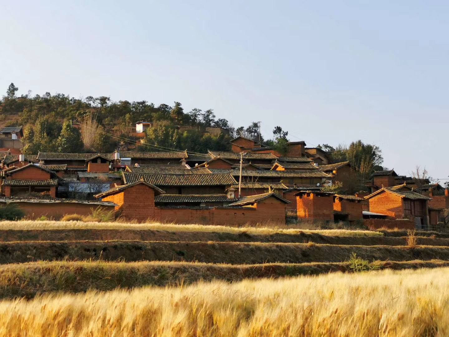 陈华,吴熙炫和王涛,分别是苏宁物流在云南楚雄鹿城镇,昭通永善县,德宏