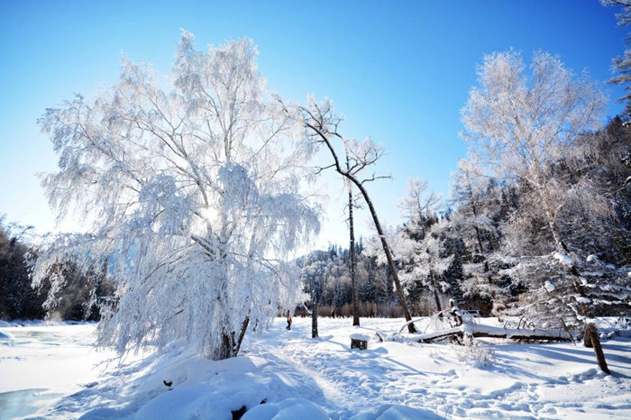 忽如一夜春风来,千树万树梨花开.北风卷地白草折,胡天八月即飞雪.