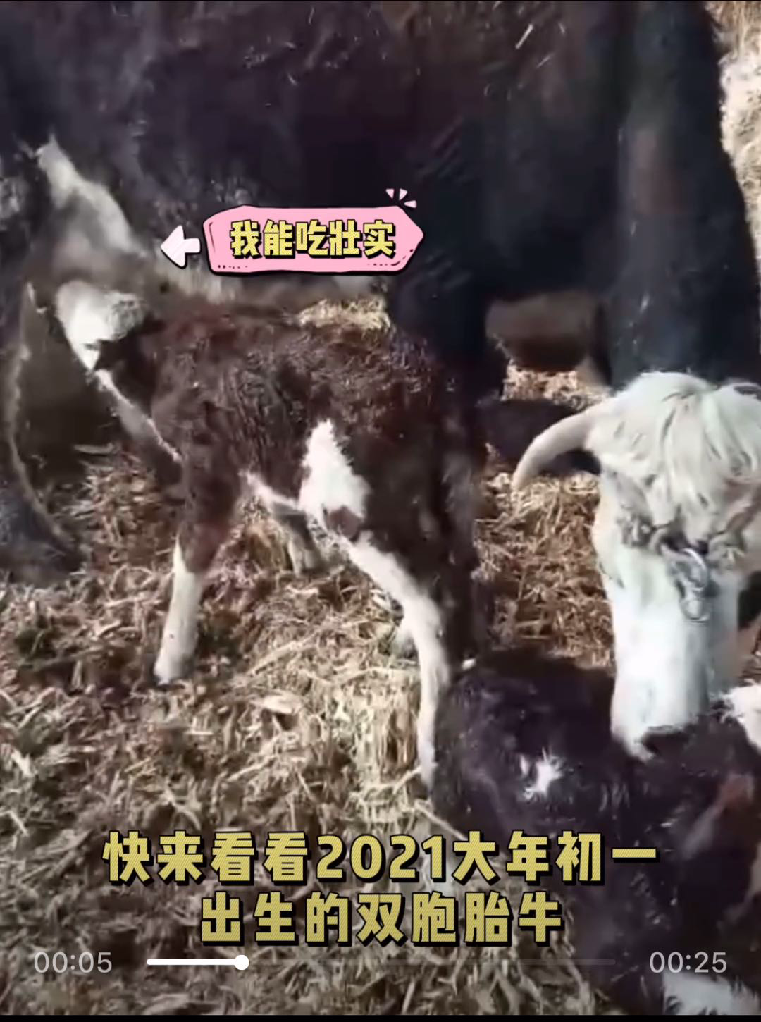 事关20万亿风向张坤蔡嵩松赵诣顶流基金经理春节这样说